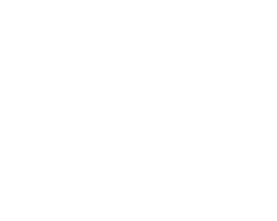 DQ Drives